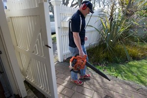 Select Lawn Mowing Pic 3 - Blowing paths