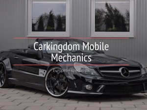 Carkingdom Mobile Mechanic Pic 3