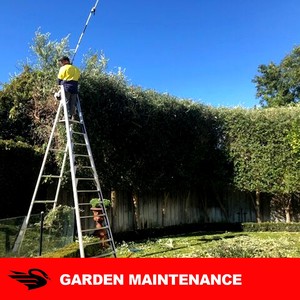 WA Site Clean Pic 4 - Garden Maintenance services