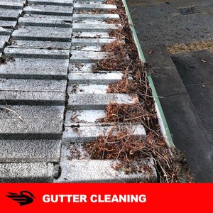 WA Site Clean Pic 5 - Gutter Cleaning services