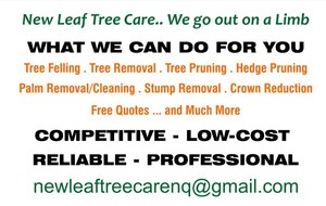 New Leaf Tree Care Pic 3