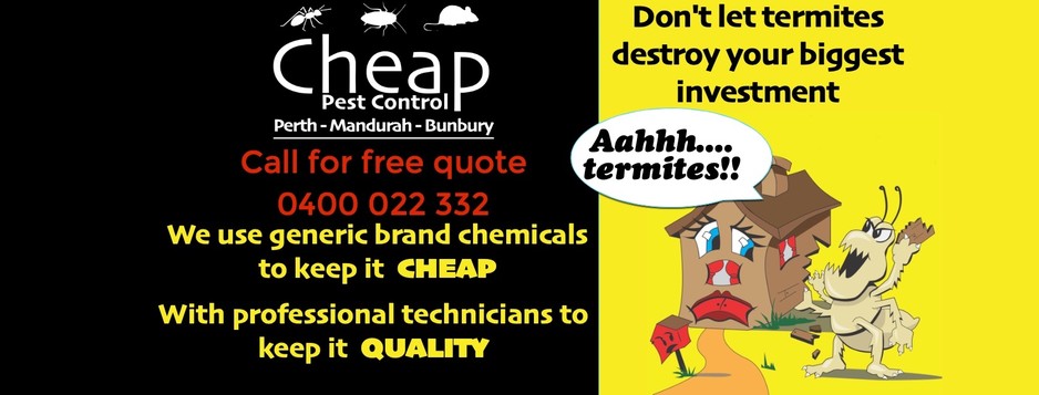 Cheap Pest Control Perth Pic 1