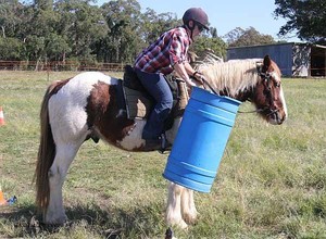 Outback Equines Pic 5