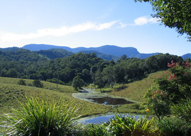 Hillcrest Mt Warning View Retreat Pic 1 - Stunning views to Springbrook and the Cougal Mountains from Hillcrest