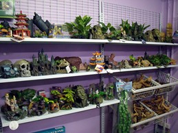 Aquarium Addict Pic 3 - ORNAMENTS AND NATURAL PRODUCTS