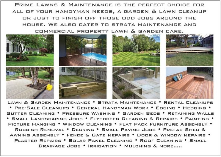 Prime Lawns & Maintenance Pic 1