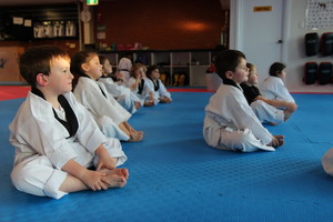 Prodigy Martial Arts Australia Pic 2