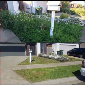 Straightup Residential Carpentry Pic 3 - Garden maintainance