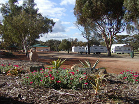 Goomalling Caravan Park Pic 1 - Goomalling Caravan Park Goomalling