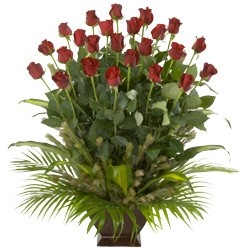 Tender Petals Florist and Giftware Pic 1 - Beautiful Roses available