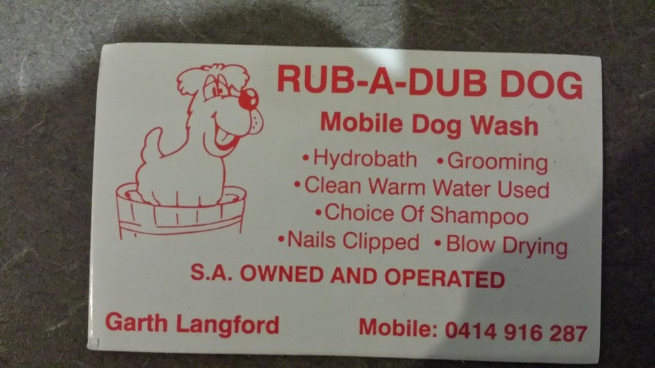 Rub-A-Dub Dog Pic 1