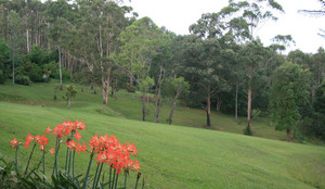 Woodridge Park Country Retreat Pic 4 - Holiday with your Horse Situated on 50 acres Woodridge Park has ample space to agist your friend during your stay and with the entrance to the Bago State Forest only 50 metres