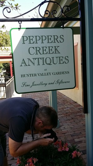 The Antique Shop (Peppers Creek Antiques at Hunter Valley Gardens) Pic 4