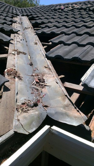 Apollo Roofing and Gutters Pic 5