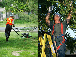 Total Building Maintenance Pic 2 - tbm has the resources to manage all facets of grounds maintenance requirements