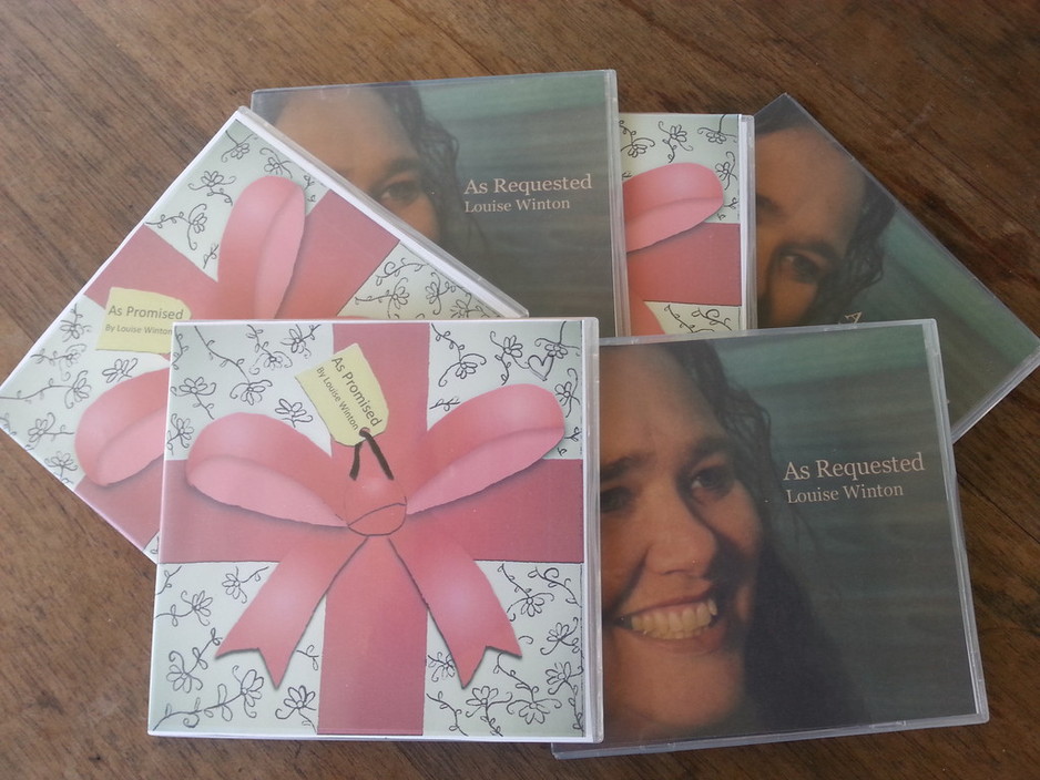 Mooney Tunes Pic 1 - The cds I have recorded with Steve so far more to come