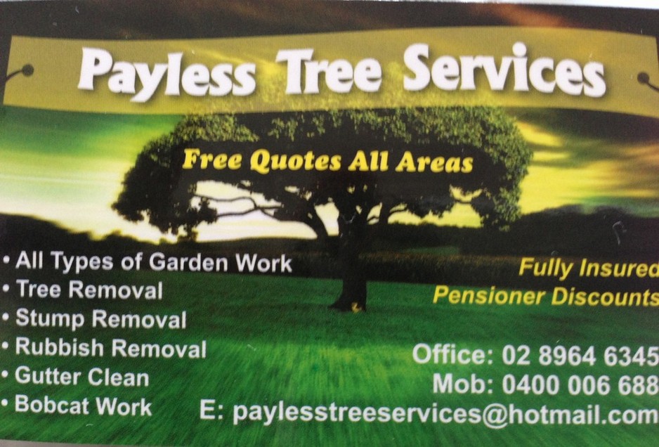 Payless Tree Services Pic 1