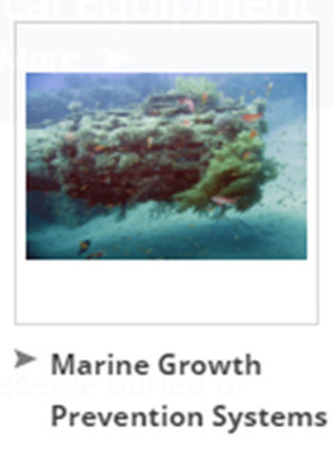 Corrosion Control Engineering (NSW) P/L Pic 4 - Marine Growth Prevention Systems