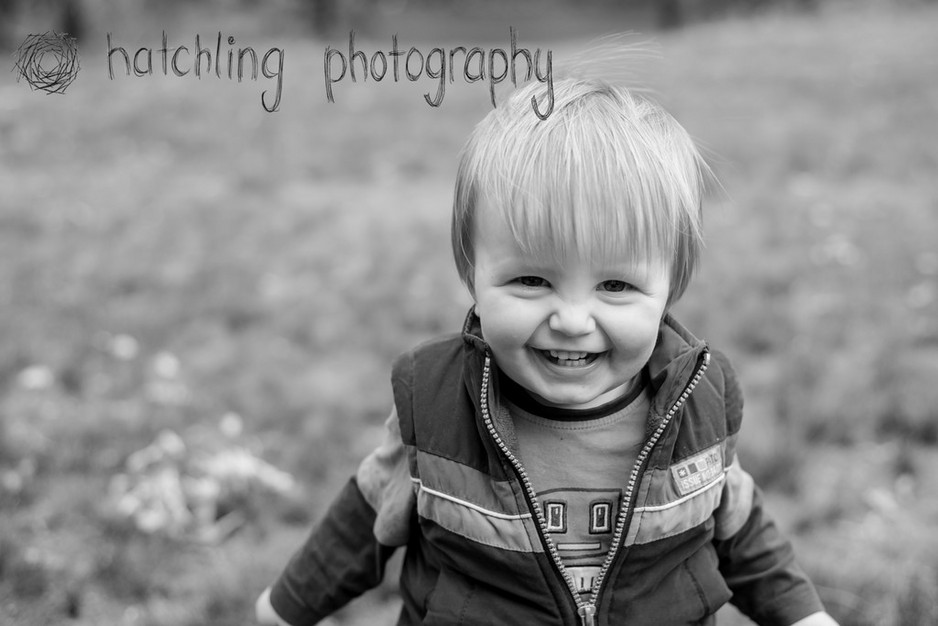 Hatchling Photography Pic 1