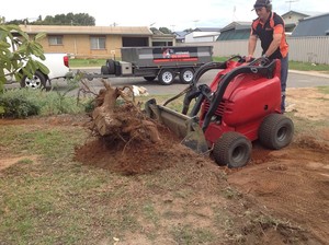 Midwest Mini Dirtworks Pic 3 - Stump removal