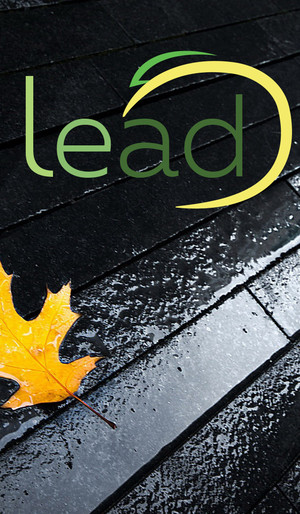 Lead Property and Cleaning Services Pic 3 - Lead Property Cleaning Services