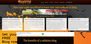 Wild Web Design Pic 3 - Wildsites Network desktop