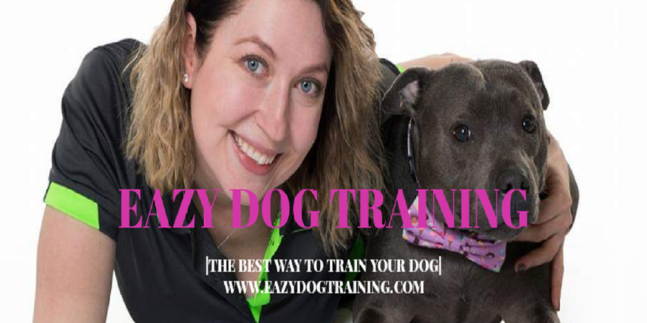 Eazy Dog Training Pic 1 - Dog Training Courses in Sydney Area