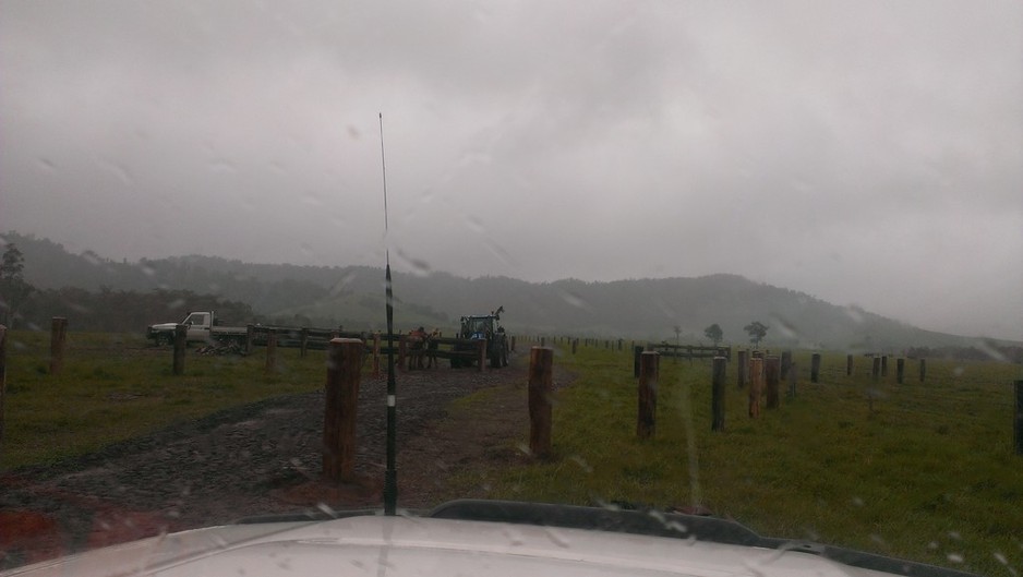 Bull at a Gate Fencing & Logging Pic 1 - Fencing at Wyvuri Station