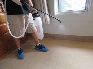 Shazam Carpet Cleaning Pic 3