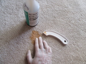 Shazam Carpet Cleaning Pic 4