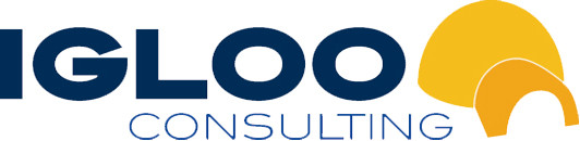 Igloo Consulting Pic 1