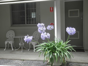 Pine Lodge Motel Pic 2 - Outside rooms