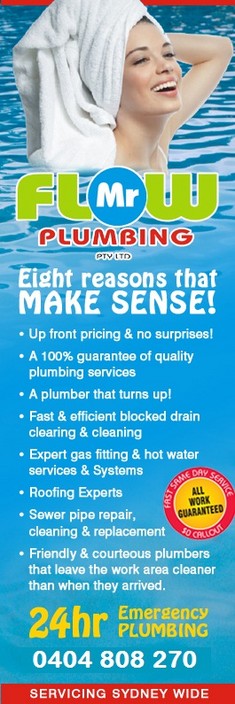 Mr Flow Plumbing Services Pic 1 - Makes Sense Right