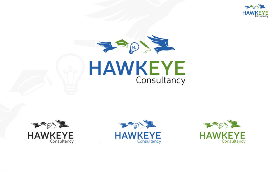 Hawkeye Consultancy Pic 2