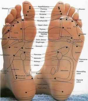 Good Health & Pain Relief Clinic Pic 3 - Reflexology at the Good Health Pain Relief Clinic can assist the whole body