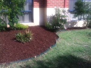 B & H Watts Pic 4 - pinebark mulch