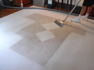 House cleaning Geelong Pic 3 - carpet cleaning