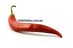 chilliDebts Pic 1 - chilliDebts Australia buy sell debts online