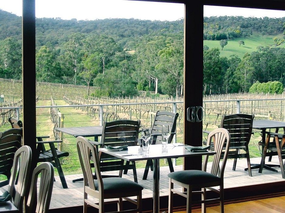 Shantell Vineyard Restaurants And Cellar Door Pic 1