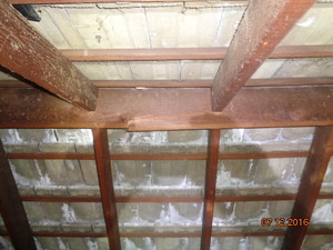 Express Building And Pest Inspections Pic 3 - here you can see the tiles are infact wet on the back and also the main ridge beam is cracked