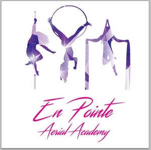 En Pointe Aerial Academy Pic 5