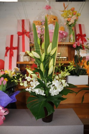 Younes Flowers Pic 2 - elegant arrangements