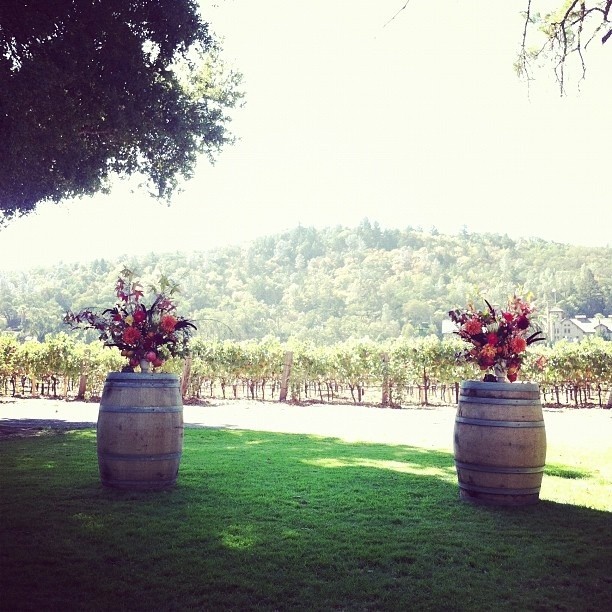 Budget Wedding Hire Pic 1 - Wine Barrels x2