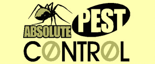 Absolute Pest Control Pic 1