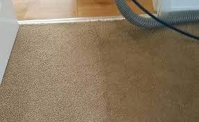 Carpet Cleaning Cammeray Pic 1