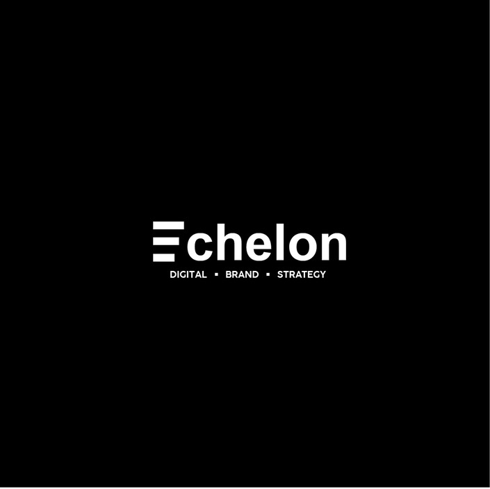 Echelon Digital Brand Strategy Pic 1