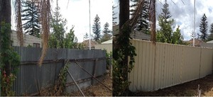 Making Eden Pic 2 - A new fence replaces the old broken one