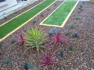 Making Eden Pic 4 - Artificial turf and a colourful selection of plants