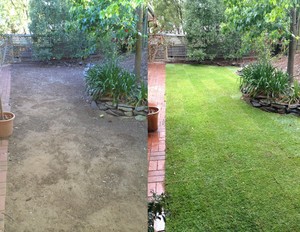 Making Eden Pic 3 - Fresh turf really brightened up this back yard