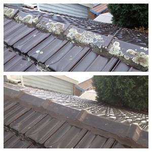 Nick's Roofing Pic 3 - Check out the before and after of our professional services that we offer you